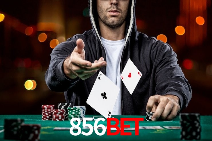 856bet