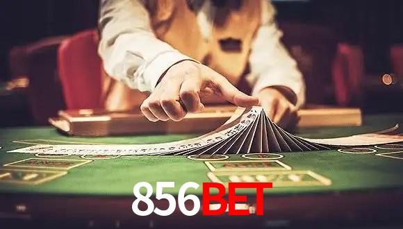 Tennis Betting 856bet