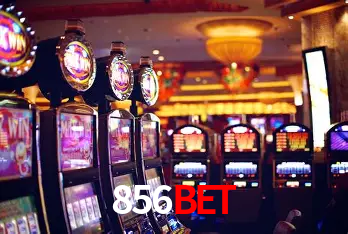 856bet Rio de Janeiro - Bonus Terms