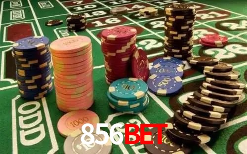 856bet - App Performance