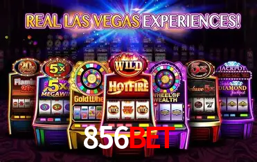 856bet Salvador - Bonus Stats