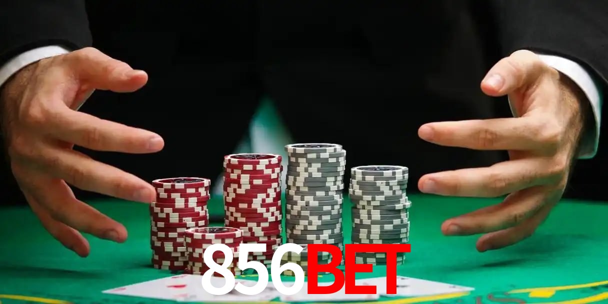 856bet Belo Horizonte - Basketball