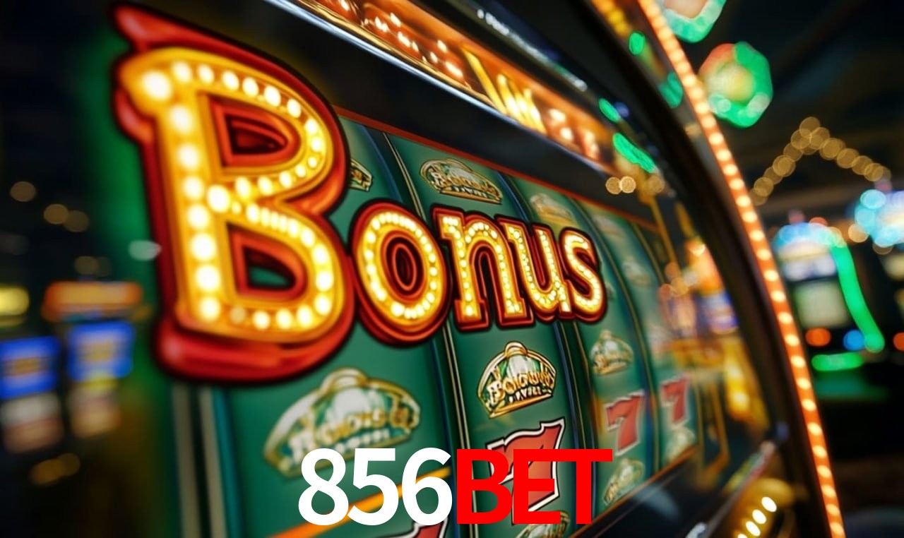 856bet Salvador - Promo Stats