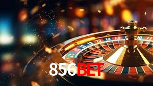 856bet Curitiba - Statistics