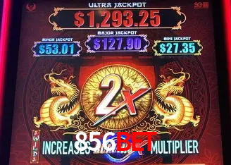 856bet Belo Horizonte - VIP Casino