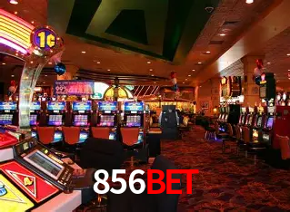 856bet Curitiba - Live Status