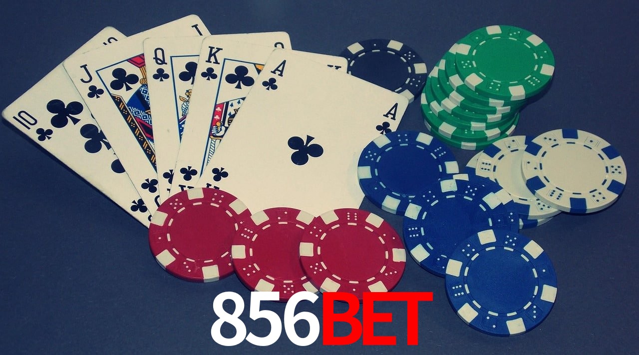 Game Providers 856bet
