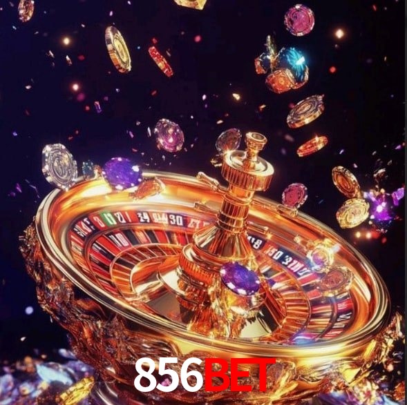 856bet - User Statistics