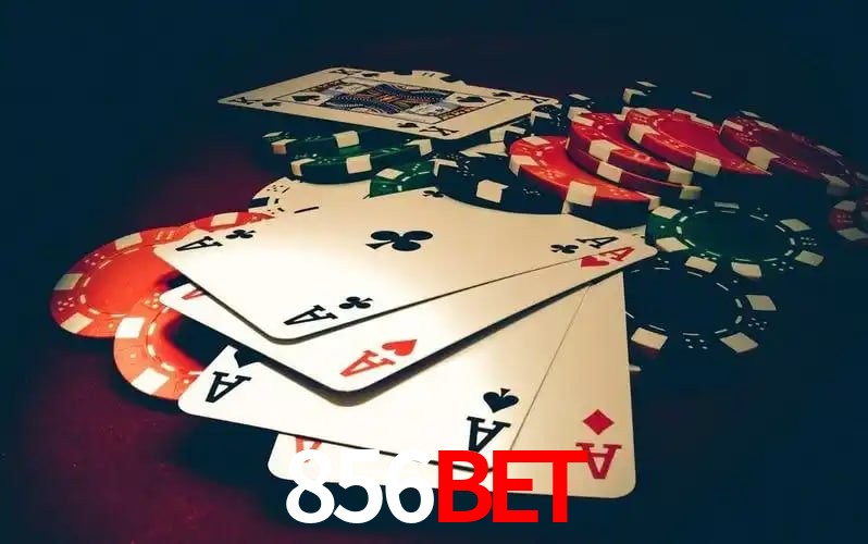 856bet Brasília - Betting Features