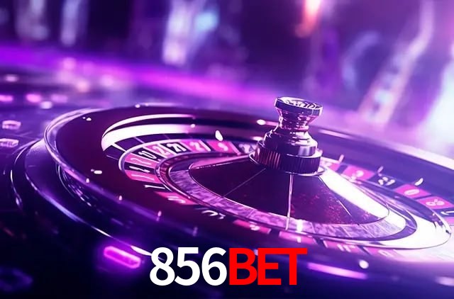 Programa VIP 856bet