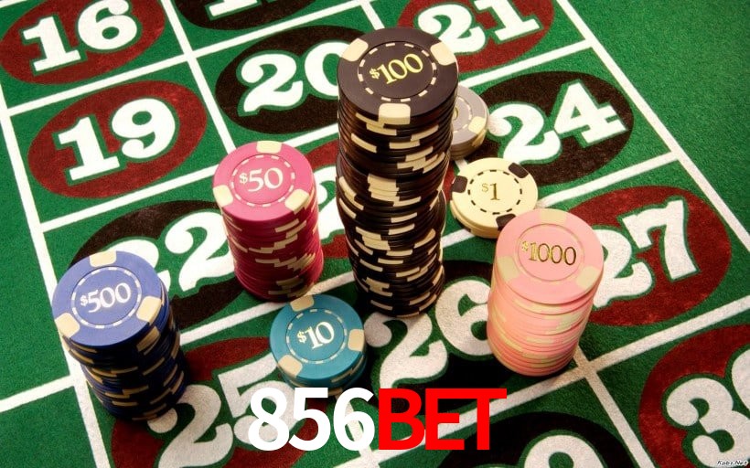 Casino Ao Vivo 856bet